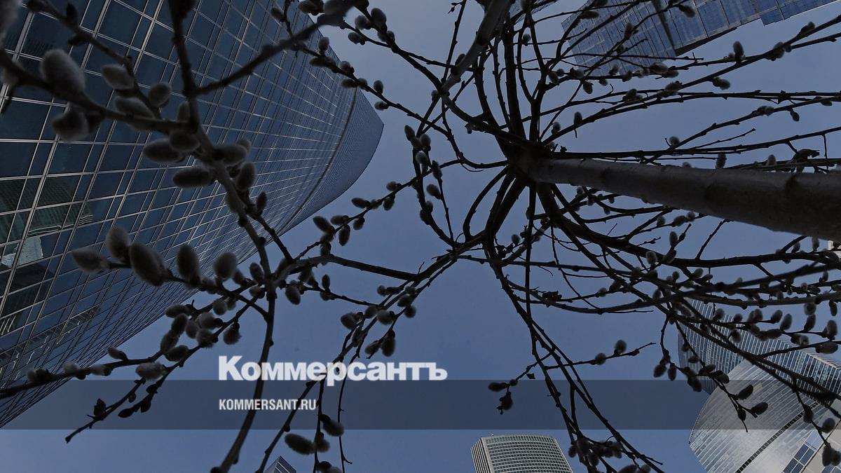 59 регионов России ввели меры поддержки для ответственного бизнеса