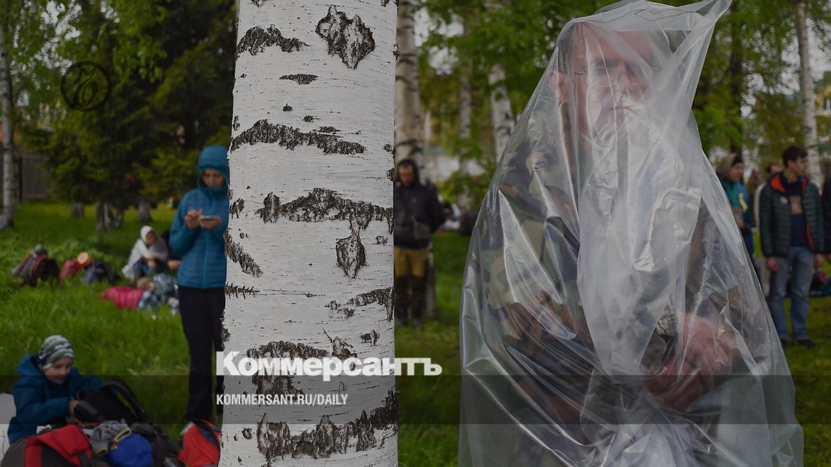 Минздрав зарегистрировал первую в России вакцину от аллергии на пыльцу берёзы
