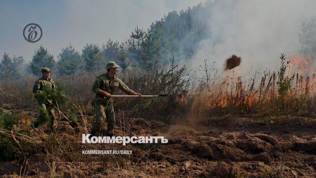 Госдума одобрила отправку срочников на тушение пожаров в городах