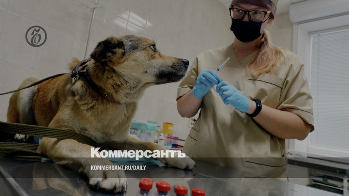 Полиция возбудила дело против производителя вакцины «Мультикан-8» после гибели собак