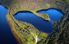 Август. Архангельская область. Кенозерский национальный парк