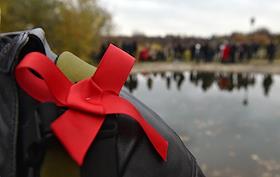 Акция православных националистов против масок и чипирования у храма Казанской Божьей матери в Коломенском