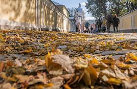 Мозаичная икона святых князей братьев Феодора Новгородского и Александра Невского в Свято-Троицкой Александро-Невской лавре