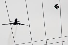 Репетиция воздушной части военного парада