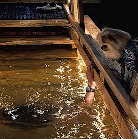 Праздник Крещения Господня. Крещенские купания в купели на Карамышевской набережной