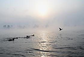 Жанровые фотографии. Красноярск во время аномальных морозов