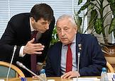 Расширенное заседание Комитета по развитию Дальнего Востока и Арктики в Государственной думе (ГД) России