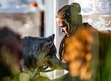 Фестиваль для питомцев и их владельцев Petshopdays 2026 в Приморском парке Победы