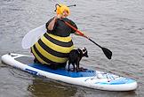 The SUP festival 'Yauza Fest' on the Yauza River as part of the Athlete's Day celebrations