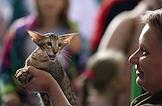 Семейный фестиваль, посвященный домашним животным 'Зоофест ЭКО', в Международном Выставочном Центре (МВЦ) Kazan Expo