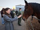 Пресс-тур в конюшню отдельного батальона патрульно-постовой службы полиции УМВД России по Казани